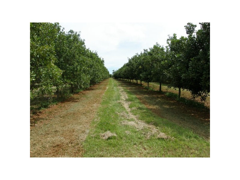 Alstonville NSW 2477