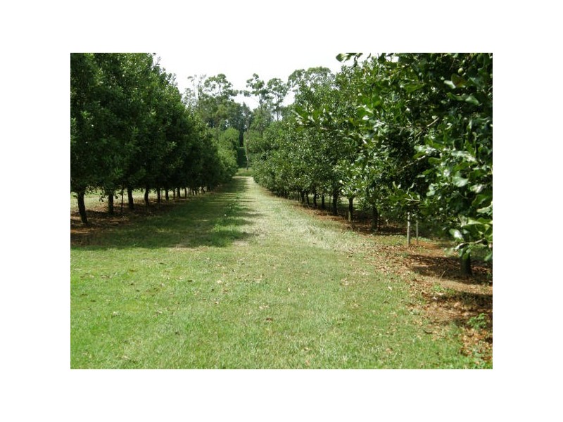 Alstonville NSW 2477