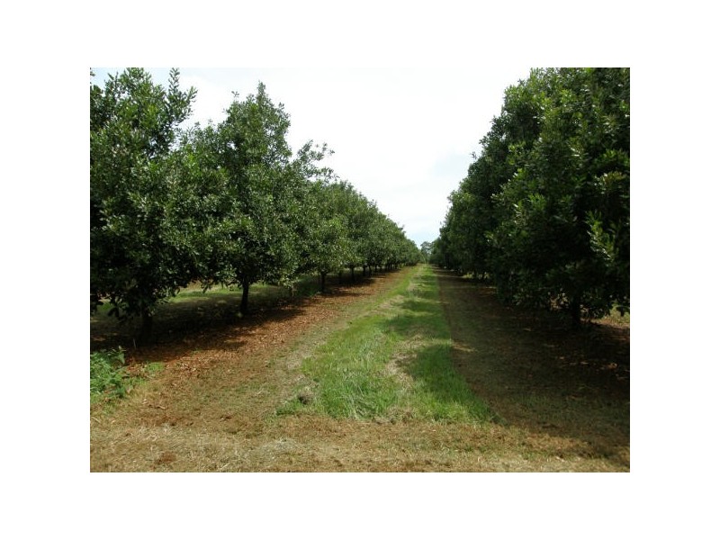 Alstonville NSW 2477