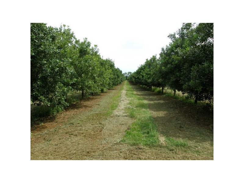 Alstonville NSW 2477