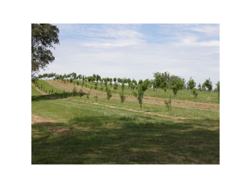 Mummulgum NSW 2469