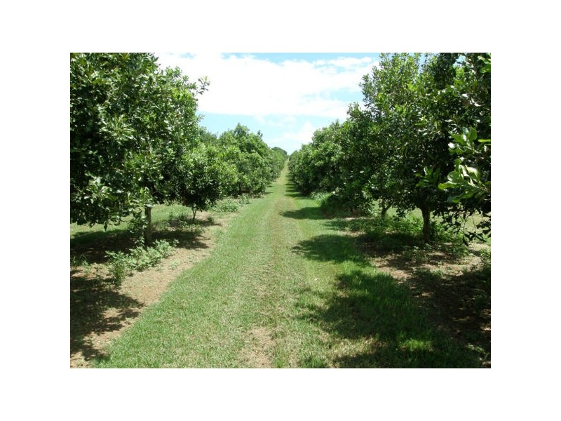 Alstonville NSW 2477