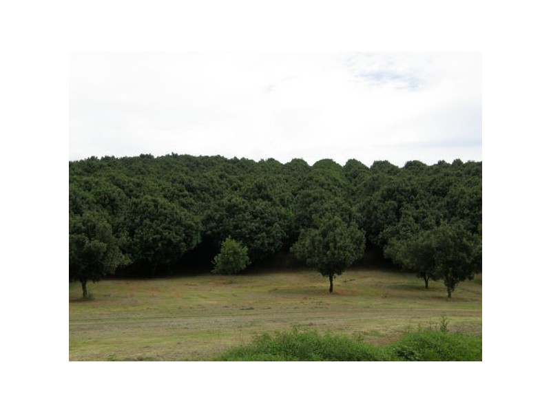 Alstonville NSW 2477