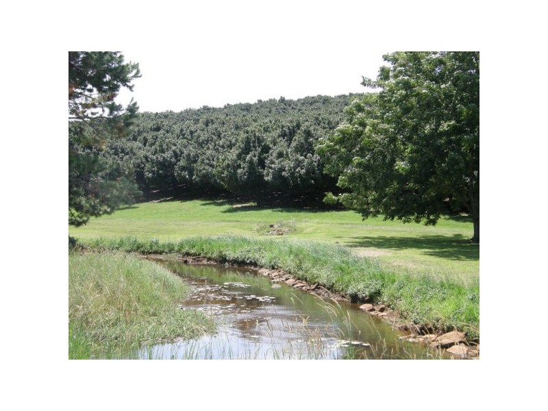 Alstonville NSW 2477