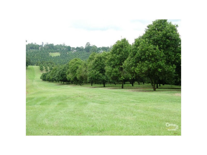 6 Munro Road, Dunoon NSW 2480