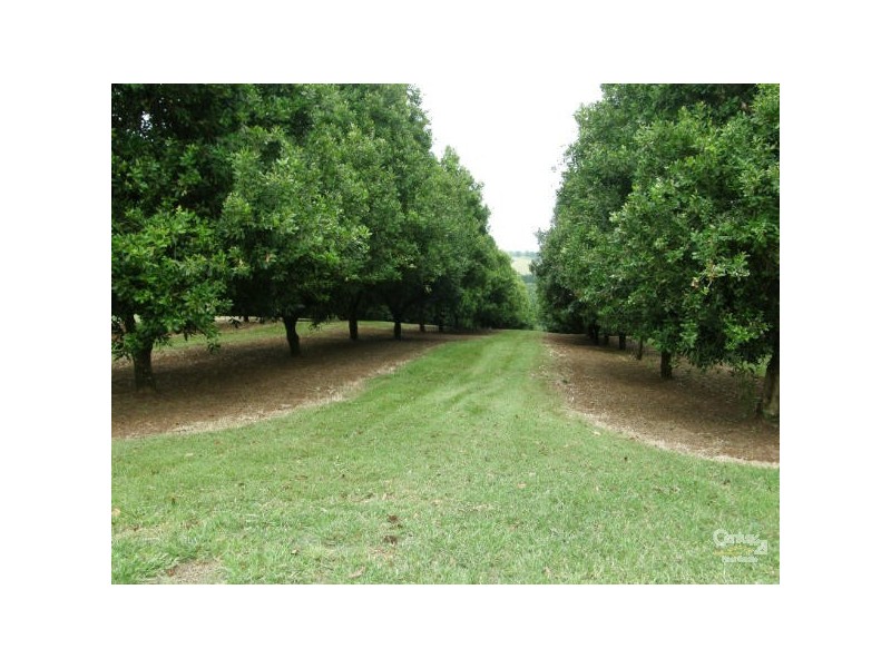 6 Munro Road, Dunoon NSW 2480
