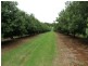 402 Cowlong Rd, Mcleans Ridges NSW 2480