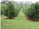 402 Cowlong Rd, Mcleans Ridges NSW 2480