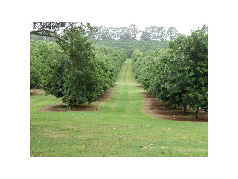 402 Cowlong Rd, Mcleans Ridges NSW 2480