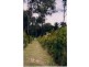 Lot 2 Myall Creek Rd, Bungawalbin NSW 2469