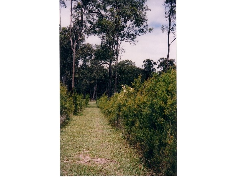 Lot 2 Myall Creek Rd, Bungawalbin NSW 2469