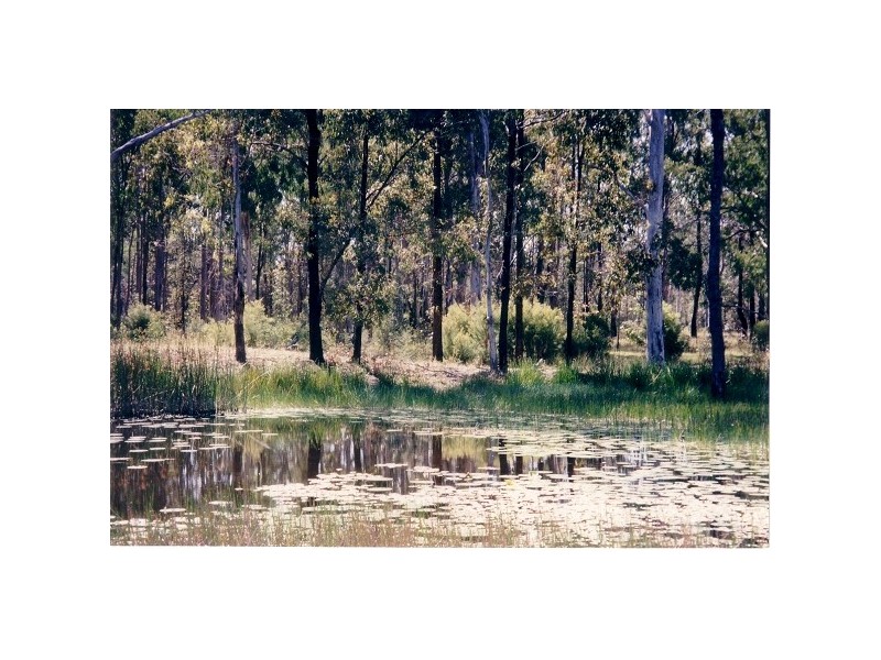 Lot 2 Myall Creek Rd, Bungawalbin NSW 2469