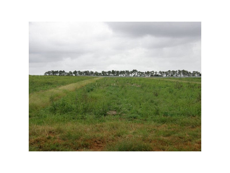 541 Ellis Rd, Alstonville NSW 2477