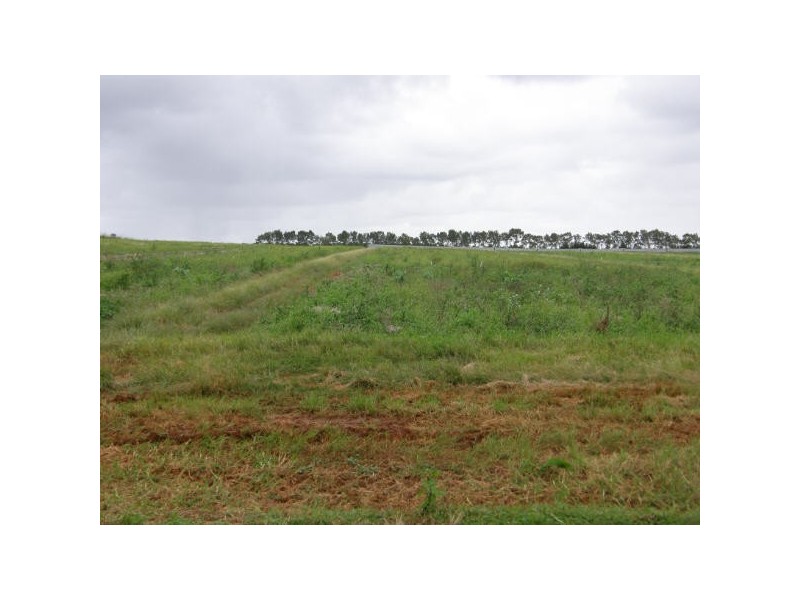 541 Ellis Rd, Alstonville NSW 2477