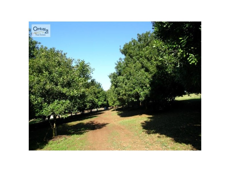 123 Alstonvale  Rd, Alstonville NSW 2477