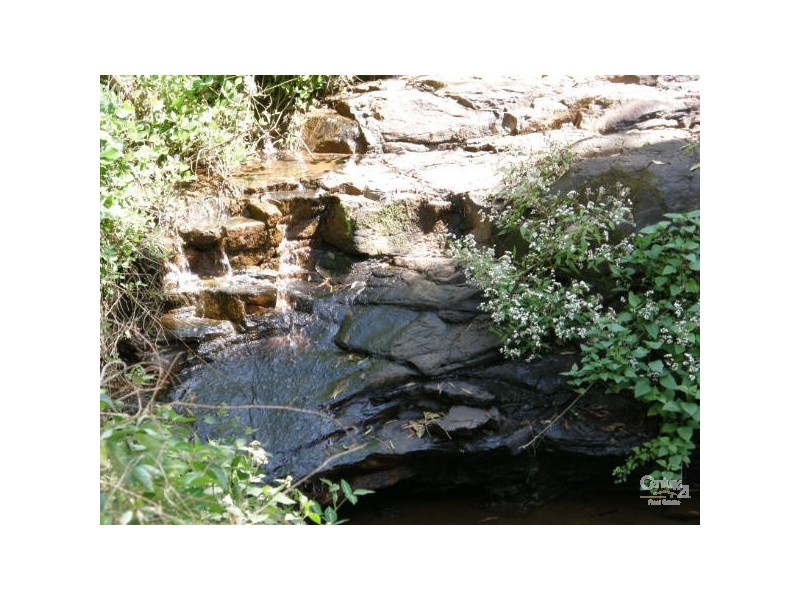 64 Fairview Rd, Rosebank NSW 2480