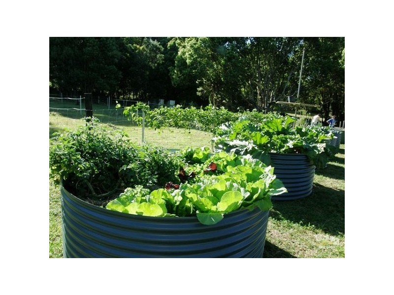 93 Grennan Rd, Tregeagle NSW 2480