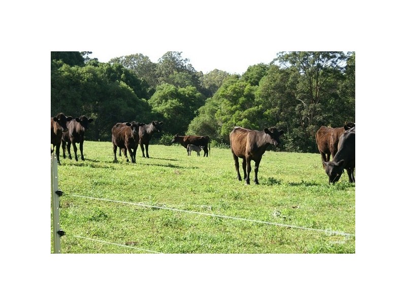 93 Grennan Rd, Tregeagle NSW 2480