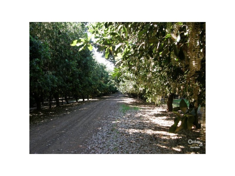 Dunoon NSW 2480