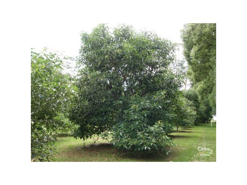 Alstonville NSW 2477