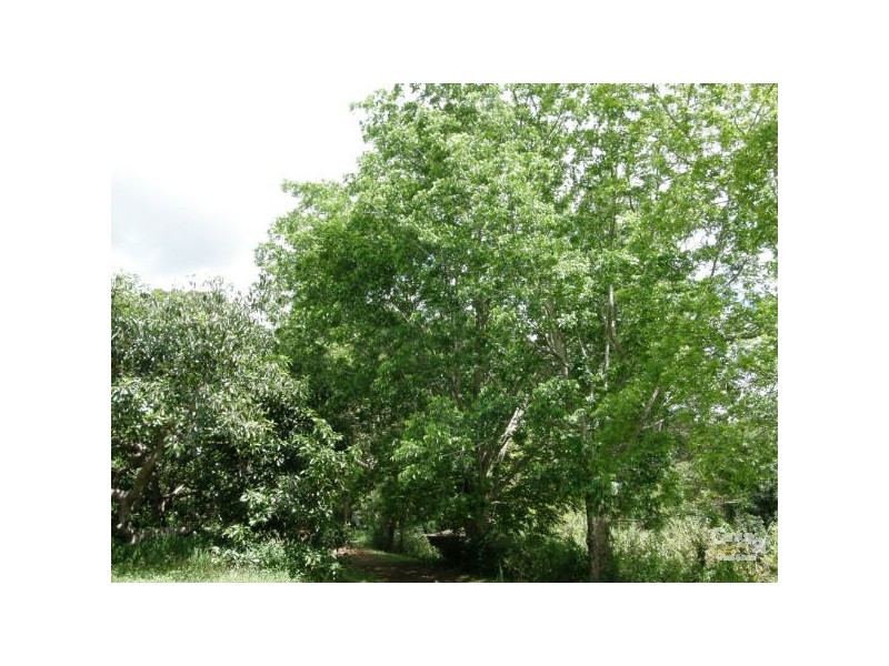 Alstonville NSW 2477