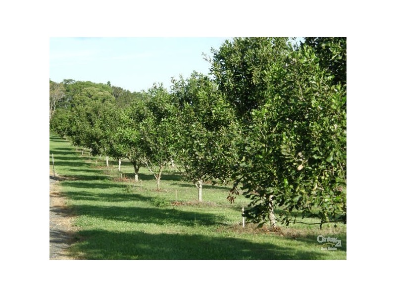 Alstonville NSW 2477