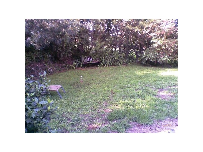 551 Cowlong Road, Mcleans Ridges NSW 2480