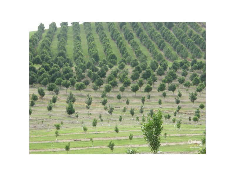 15 Pagotto Ridge Rd, Lismore NSW 2480