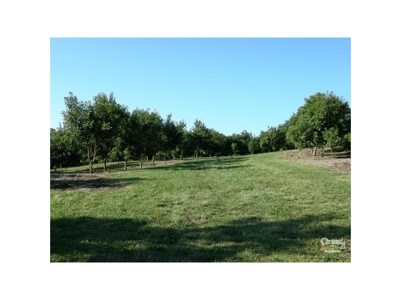 15 Pagotto Ridge Rd, Lismore NSW 2480