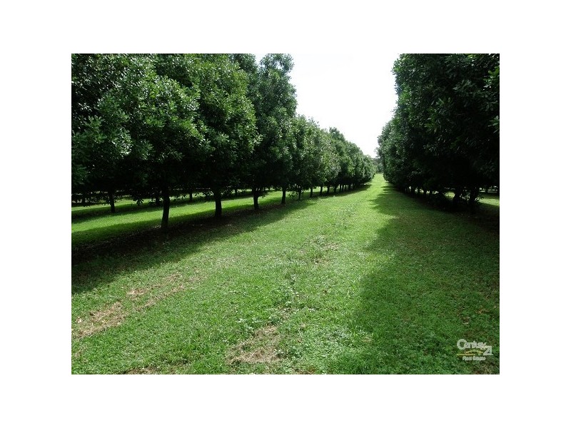 Mcleans Ridges NSW 2480