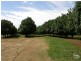 Mcleans Ridges NSW 2480