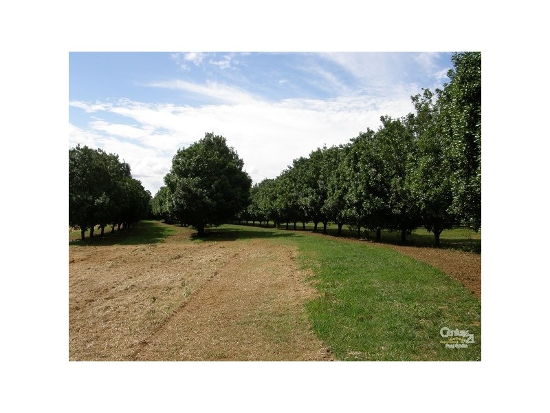 Mcleans Ridges NSW 2480