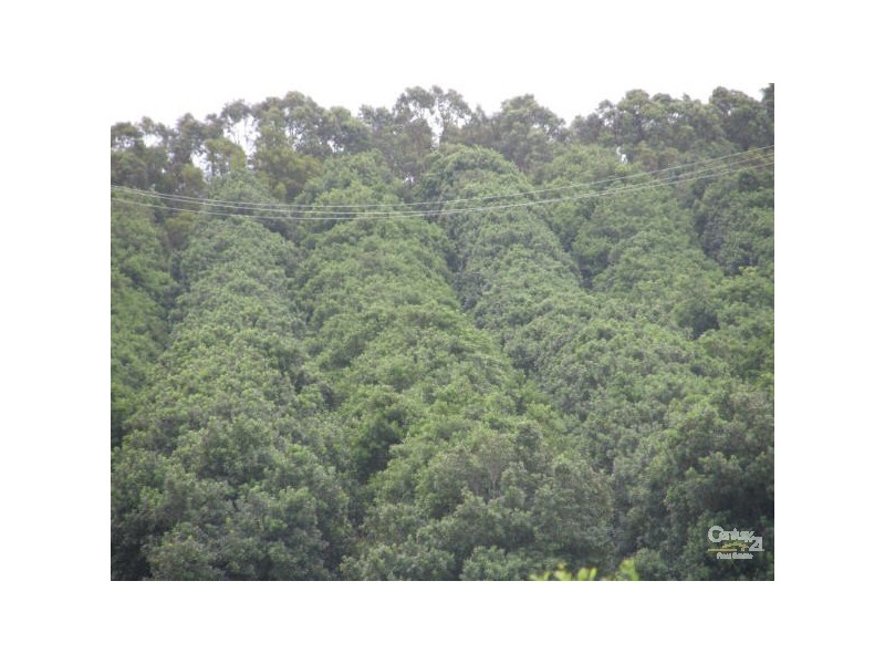 Myocum NSW 2481