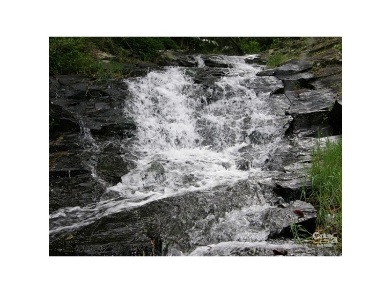 460 Marom Creek Rd, Meerschaum Vale NSW 2477