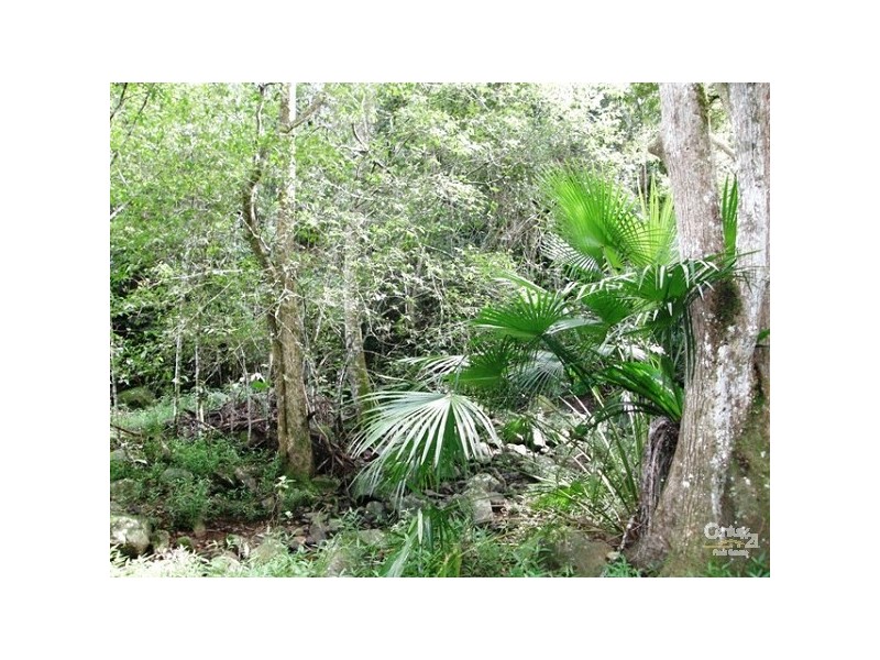 460 Marom Creek Rd, Meerschaum Vale NSW 2477