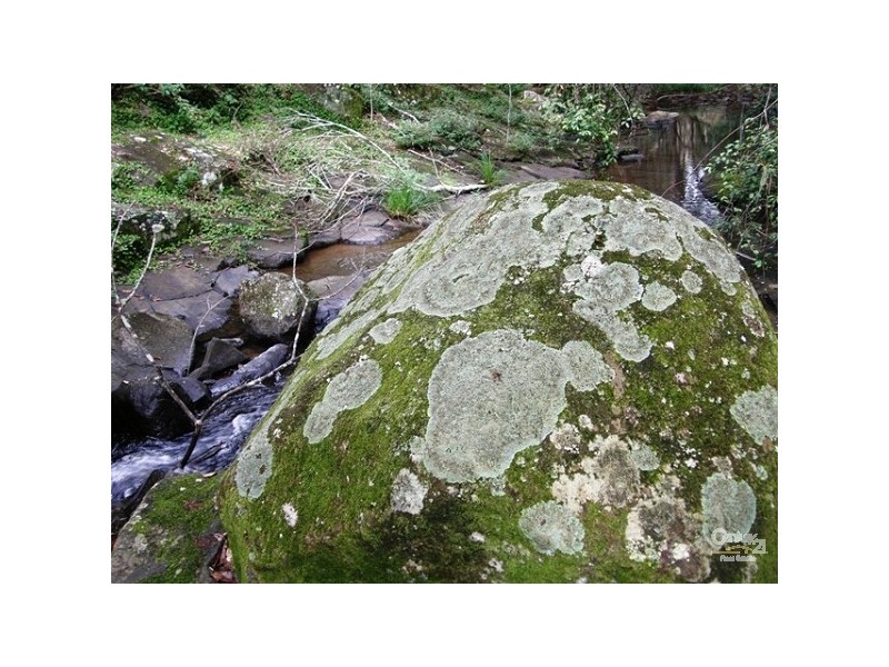 460 Marom Creek Rd, Meerschaum Vale NSW 2477