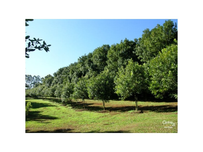 Alstonville NSW 2477