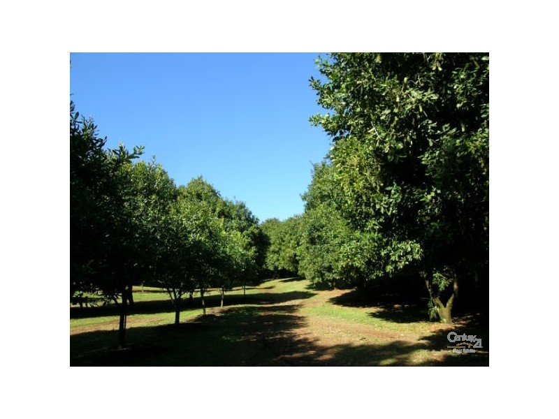 Alstonville NSW 2477