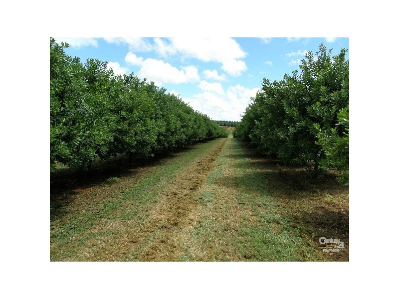 Alstonville NSW 2477