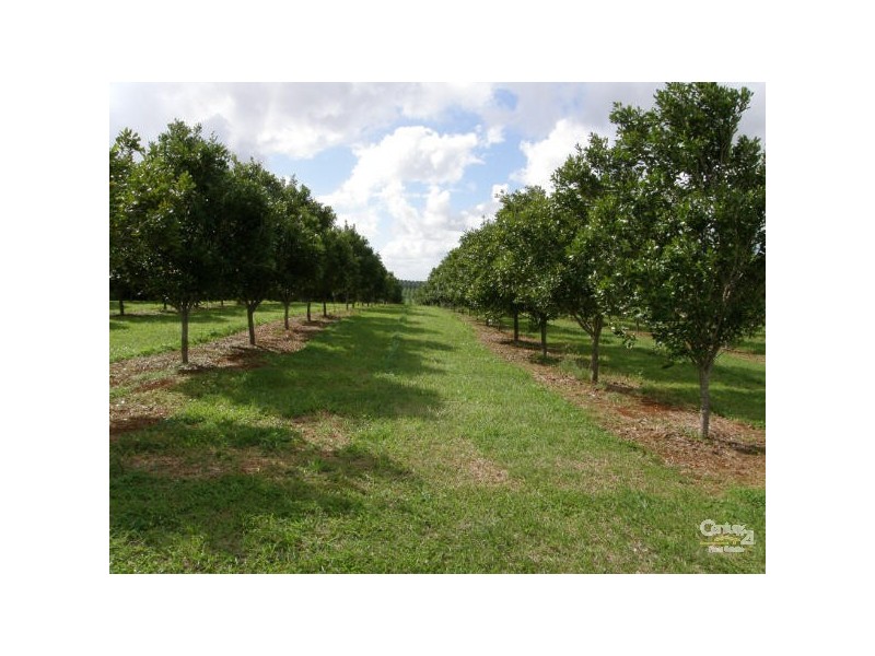 Alstonville NSW 2477