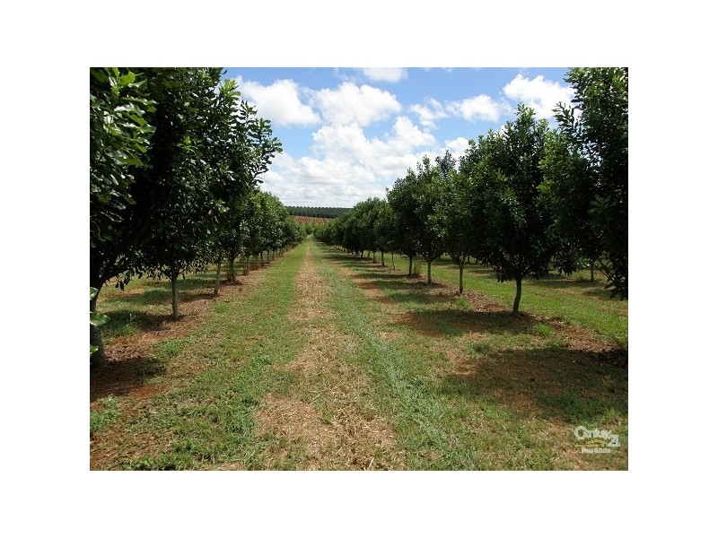 Alstonville NSW 2477