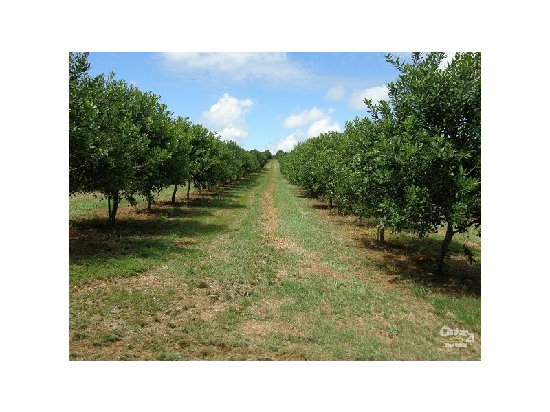 Alstonville NSW 2477