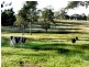 1146 Bruxner Highway, Richmond Hill NSW 2480