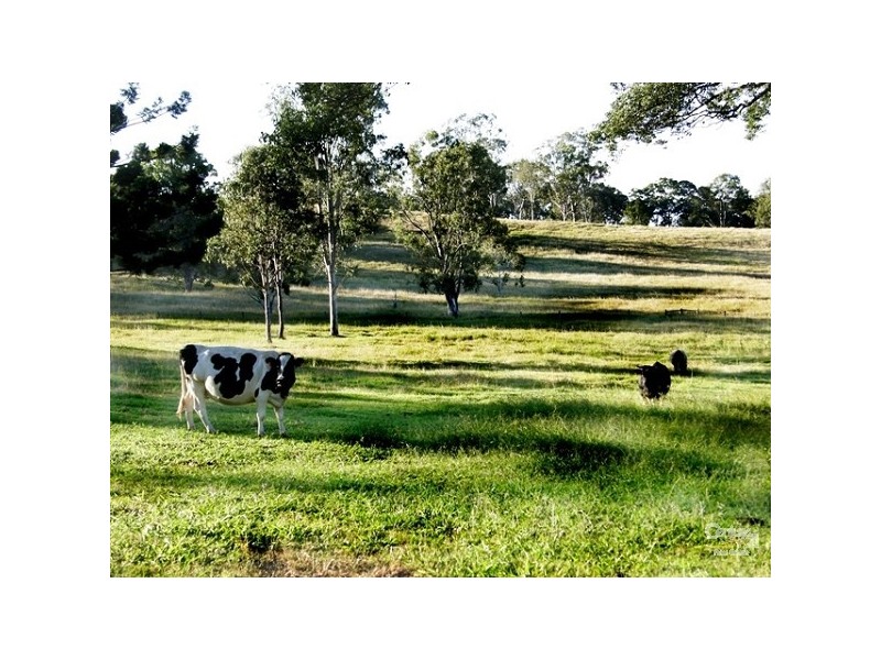 1146 Bruxner Highway, Richmond Hill NSW 2480