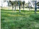 1146 Bruxner Highway, Richmond Hill NSW 2480