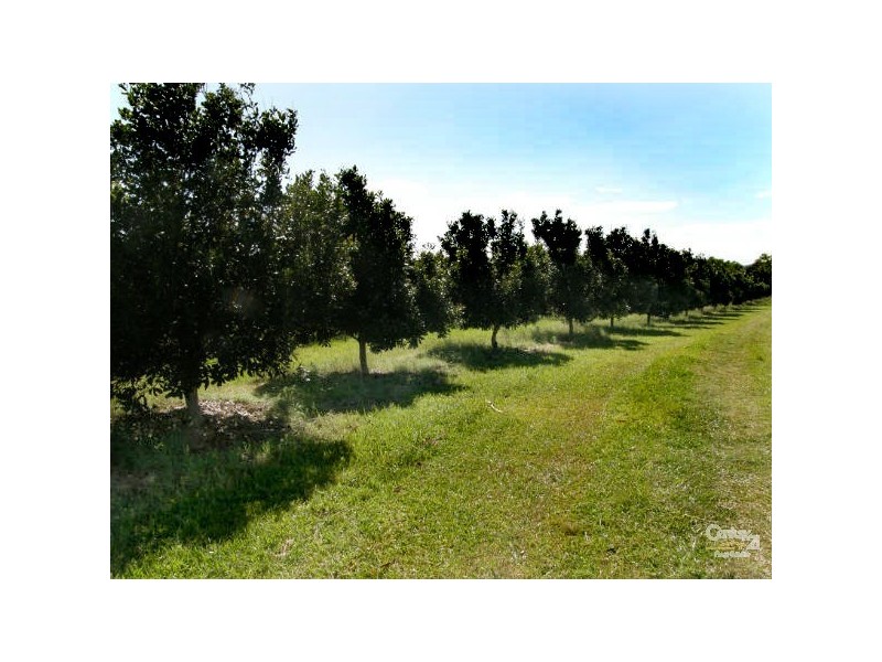 66 Cambridge Park Lane, Woodford NSW 2463