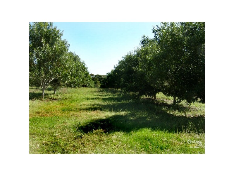 66 Cambridge Park Lane, Woodford NSW 2463