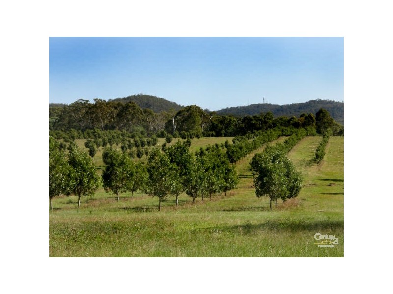 66 Cambridge Park Lane, Woodford NSW 2463