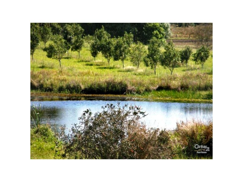 66 Cambridge Park Lane, Woodford NSW 2463