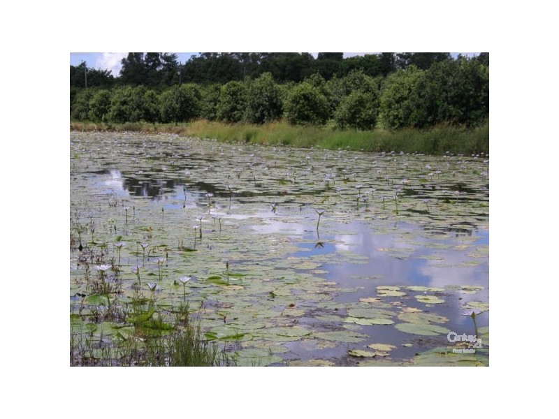 1 Alexander Road, Mcleans Ridges NSW 2480